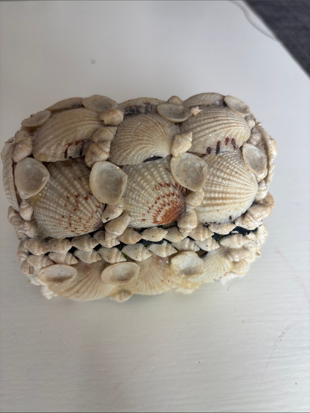 Decorative Seashell Accent Box - Natural White